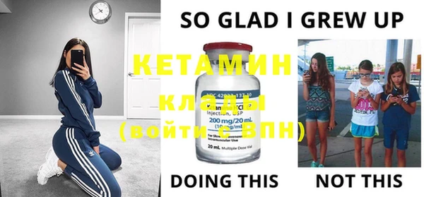 индика Бронницы
