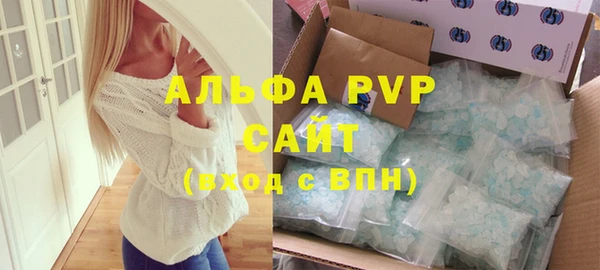 индика Бронницы