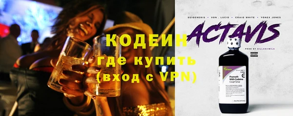индика Бронницы