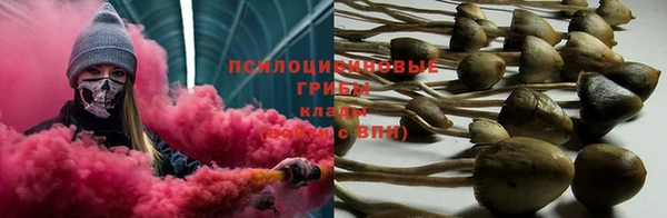 спиды Бугульма