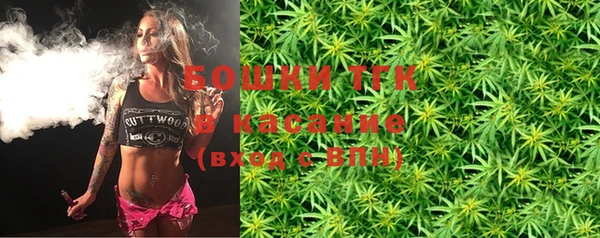 ПСИЛОЦИБИНОВЫЕ ГРИБЫ Бородино