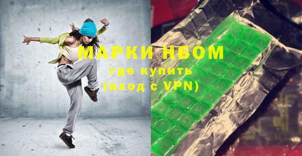 индика Бронницы
