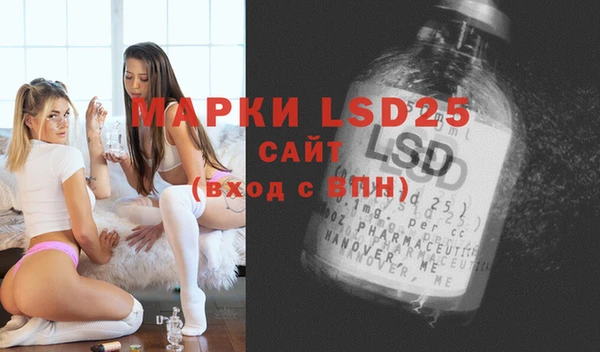 индика Бронницы
