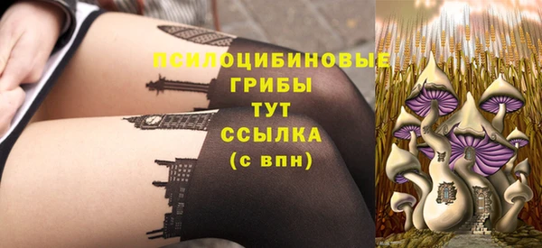 сатива Верхнеуральск