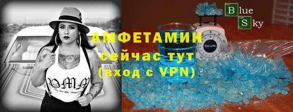 индика Бронницы