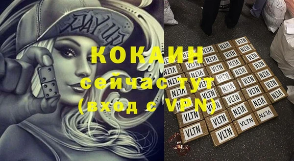 ПСИЛОЦИБИНОВЫЕ ГРИБЫ Бородино
