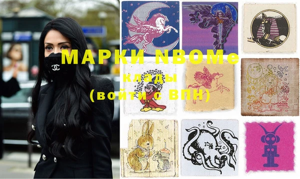 индика Бронницы