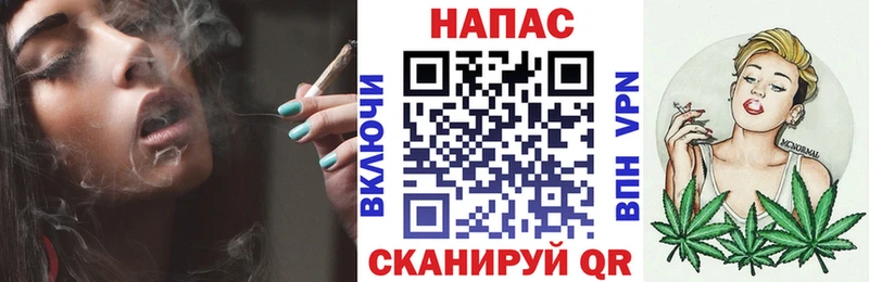ОМГ ОМГ   Чегем  Бошки марихуана THC 21%  сколько стоит 